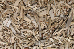 biomass boilers Cockshoot